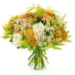 This richly textured bouquet, displayed upright against a pure white background, looks as if it has been gathered from a beautifully tended garden overlooking the rolling greenery around Stanmore Hill. The design has a softly domed shape and is densely filled with blooms in glowing shades of golden yellow, deep orange, and creamy white, all enlivened by splashes of fresh lime green. Bold chrysanthemums, with their spiky, layered petals in copper and burnt orange, form the backbone of the arrangement, giving it a strong autumn character and a sense of cosy depth.   

Nestled between these statement flowers are cream-white roses, unfolding with gentle curves and velvety softness. Their more restrained hue and classic form bring calm and balance, like a quiet pause between the brighter notes. Woven throughout, bright yellow-orange celosia cockscomb stands out with its velvety, undulating surface, resembling coral or a richly textured brain. This unusual flower adds an artistic, slightly playful element, as if the florist has tucked in a secret surprise for the recipient. Sprays of tiny, daisy-like white flowers with warm yellow centres-likely matricaria-are scattered through the bouquet, softening the structure and evoking the informal charm of roadside blooms near Stanmore's residential lanes.   

Surrounding everything is a generous halo of green: feathery lime solidago and other foliage that provide movement and a feeling of freshness, echoing the natural landscape of nearby parks. The stems at the base are pulled together neatly and secured with green florist's tape, confirming a careful, hand-tied finish. This bouquet conveys warmth, gratitude, and quiet celebration, ideal for sending encouragement to a friend in Stanmore, welcoming someone to a new home, or bringing seasonal colour to a living room flooded with afternoon light.