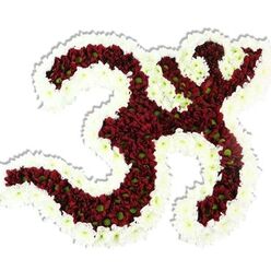 Against a crisp white background the sacred Om symbol is rendered here as a dense, lovingly sculpted floral piece, each curve and hook formed from thousands of tiny chrysanthemum-like flowers. The main body is a sea of deep burgundy to maroon blossoms whose compact heads create a plush, velvety surface; many of those blooms show a contrasting lime-green eye at their centres, tiny bright notes that animate the dark field. Framing and defining every curve is a bold border of immaculate white spray chrysanthemums, their delicate petals forming a clean, undulating edge that heightens the symbol's silhouette and articulates its inner negative spaces. The overall feel is tactile and intimate - you can almost sense the cool silk of petals under your fingertips and the faint, earth-tinged aroma that rises when so many fresh blooms are packed together. Soft, neutral lighting casts a gentle shadow beneath the sculpture, reinforcing its dimensional weight and presence. This arrangement reads as both an artistic tribute and a spiritual offering, suitable for memorial altars, temple events, meditation gatherings, or cultural celebrations. It carries a quiet dignity and warmth that comforts as it celebrates heritage, and its careful construction speaks of seasoned floristry. For local clients in Stanmore and neighbouring Harrow, this piece would be an appropriate, thoughtful choice when seeking a floral work that honours ritual and memory with refined craftsmanship.