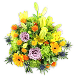 This densely packed bouquet, photographed on a crisp white background, combines joyful colour and expert structure in a way that feels instantly welcoming to anyone collecting flowers near Stanmore tube or strolling past Bentley Priory. Sunlit yellow Asiatic lilies form the vertical spine: some open wide, their speckled inner petals and stamens clearly visible, others remaining sleek buds that lift the eye. Bright orange Gerbera daisies with flat, radiating petals punctuate the mass with cheerful, sunny faces, while clusters of small spherical orange and golden-yellow blooms - reminiscent of Billy Buttons or tiny spiky pom-poms - weave playful accents through the arrangement. Powdery lavender roses provide a soft, romantic centre, their layered petals cooling the palette and offering a subtle floral perfume that blends with the green leaves. Lime-green button chrysanthemums act as plush fillers, adding textured mounds that keep the composition feeling full and generous. Interspersed for contrast are steely blue Eryngium thistles whose rigid, star-like bracts introduce an architectural edge and a hint of rustic seaside melancholy. Varied foliage - from broad, glossy lily leaves to smaller, matte fillers - creates depth and frames the bouquet, letting each bloom read clearly from a distance or up close. As a local Stanmore creation, this arrangement suits celebrations, thoughtfulness, or a brightening gift for a flat near the High Street; Flowers Stanmore would present it with that exact balance of exuberance and refinement for nearby deliveries.