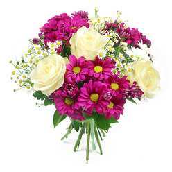 This image presents a beautifully composed bouquet set against a spotless white backdrop, making every flower and leaf stand out with crisp detail. At its centre, creamy white roses tinged with a hint of pale yellow unfurl in lush, spiralling layers, each bloom fully open and velvety to the eye. These roses form a serene, sophisticated focus. Encircling them, generous heads of magenta and fuchsia chrysanthemums bring a vibrant, celebratory mood, their daisy-like petals framing bright yellow-green centres that glow against the surrounding colours. The contrast feels as uplifting as a sunny morning walk through Stanmore Country Park. Threaded through the main blooms are clusters of tiny white daisies or chamomile-like flowers, each with a small golden-yellow centre and clean white petals that add lightness and a slightly wildflower character, as though they had just been gathered from a garden along Marsh Lane. Deeper purple-pink chrysanthemum buds peek through from the background, adding subtle depth and hints of future blossoms. Rich green foliage supports and surrounds the flowers, with familiar rose leaves and the textured, slightly serrated leaves of mums providing a natural frame. At the base, all the stems are clearly visible, neatly aligned and firmly bound together with a green and white check ribbon that lends a handcrafted, personal touch. The lighting is bright yet gentle, creating soft shadows that enhance the bouquet's round shape and layered construction. The overall impression is of a fresh, joyful arrangement, ideal for local delivery around Stanmore to mark special occasions, send congratulations, or simply brighten a living room with its cheerful palette.