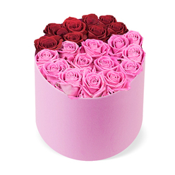 With the sensibility of a Stanmore florist, this arrangement reads as modern romance curated in velvet and light. The pale pink cylindrical hatbox offers a tactile softness, like velvet beneath the fingertips. Inside, dozens of roses spring open, their petals revealing a creamy, almost satin texture. The top arc contains about a dozen deep crimson red roses, forming a graceful crescent that seems to cradle the heart of the composition. The lower two-thirds bloom in bright fuchsia pink, a cheerful field that balances drama with warmth. The stems are arranged with precision, each bloom placed to create a sense of quiet abundance without crowding, a testament to careful crafting. The scent is gentle and uplifting, enough to hint at the romance of the moment without overpowering the room. This arrangement feels made for celebrations, for marking anniversaries, or for a surprise that says you've noticed and you care. In Stanmore, deliveries arrive with punctuality and care, with same-day service across Stanmore, Canons Park, Edgware, and neighboring communities. This gift box is more than flowers; it is a crafted experience, a small ceremony of colour that opens to reveal happiness, hope, and a shared moment of delight. Flowers Stanmore brings together design, freshness, and local knowledge to offer a bouquet that resonates with the heart of our town and its people.