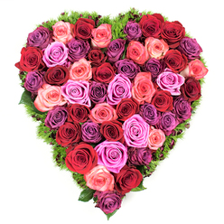 From an overhead perspective a dense heart of roses reads like a textile of petals: compact, symmetrical and richly hued. Dominant tones of deep crimson and classic red form the emotional core, threaded with burgundy and plum, while a softer chorus of blush pink, coral and vivid fuchsia brings light and movement. Lavender and mauve roses are scattered through the composition to cool the warmth and add depth. Each bloom is at prime openness, the petals layered and slightly curled at their edges, creating a tactile, velvety surface that invites the fingertips even through the image. The heart is outlined by a low, springy border of fine green foliage or mossy material that nestles between roses and gently frames the silhouette, offering contrast and a grounded, natural feel. The lighting is soft and even, suggesting morning or late-afternoon light that flatters colour without harsh shadow, and the overall effect is one of careful craftsmanship and quiet ceremony. This arrangement carries meanings of passionate love, deep sympathy or steadfast remembrance and suits occasions from Valentine's and anniversaries to memorial services. I often think of placing pieces like this for neighbours on Stanmore High Street or deliveries near Marsh Lane-the intimacy of the shape and the density of the roses make it both a showpiece and a tender message, an object that reads immediately as devotion and solace.
