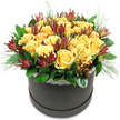 A refined hatbox arrangement sits sharply defined against a white background, its colours and textures arranged with clear intention. The composition is built around a rich cluster of creamy yellow roses, placed so closely that they form a softly domed crown. The roses themselves vary slightly in openness, some blossoms cupping inward with tight, promising centres, while others spill outward in full, velvety spirals that seem to glow with gentle warmth. Interlaced between these blooms are expressive stems of Leucadendron 'Safari Sunset', bringing a deeper, moodier tone to the design. Their slender, pointed bracts move from burgundy and maroon at the tips into muted green closer to the stem, rising above the roses with a slender, almost architectural elegance. Around the base, a ring of smooth, dark green leaves creates a tidy frame, while fine, airy sprigs akin to pine needles or asparagus fern slip between the flowers, softening edges and adding delicate movement. The flowers emerge from a round hatbox in charcoal grey or black, its surface matte and understated, allowing the floral colours to dominate. Just beneath the bloom line, a slim band of white lace wraps around the rim, introducing a textural contrast that feels both romantic and slightly nostalgic. The arrangement has the discreet luxury you might find in a well-appointed Stanmore living room near Canons Corner or on a sideboard in a home by Whitchurch Lane. With its mix of classic roses and contemporary protea relatives, the design works beautifully for birthdays, thank-you gestures, and celebrations, or simply to add a touch of modern floral elegance to any Stanmore interior.