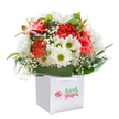 Bringing together a sense of local joy and expert artistry, this fresh bouquet from Stanmore glows with the promise of new beginnings. Coral and lush peach carnations, bursting with layered petals and a gentle, sweet scent, pair harmoniously with lilies of pure white daisy blooms, their golden-green centres brightening the composition. Between these larger features, baby's breath weaves a delicate pathway-like tiny clouds floating through the garden paths of Canons Park-adding a note of innocence and tranquility. Hints of unopened buds with a purple blush peek from within, promising future colour and abundant days ahead. The arrangement is cradled in a halo of deep, vibrant green leaves, fanned out with stately grace and rolling across the bouquet's base, offering the elegance you'd expect from Stanmore's esteemed florists and gardens alike. Every flower is thoughtfully placed to create a gentle, uplifting dome, ready to be delivered in a classic white gift bag with comfortable ribbon handles-easy to carry from Stanmore Station to your loved one's door. Captured in soft illumination, this bouquet delivers not only freshness but heartfelt sentiment, making it the perfect gesture for birthdays, congratulations, or to simply brighten the day of someone cherished in the Stanmore community.