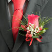 Pinned neatly to a dark charcoal lapel, this red rose boutonniere feels like a tiny, wearable garden, crafted with the kind of care you'd expect from a local Stanmore florist preparing flowers for a long-awaited wedding. At the centre, a single rose in a deep, romantic crimson glows softly, its layered petals velvety and full, suggesting devotion and timeless style. Around it, a soft mist of white baby's breath creates an ethereal collar, each miniature blossom like a star against the rich red, much as evening lights twinkle above Stanmore's quiet residential streets. Nestled at the base, smooth crimson berries bring a playful, festive sparkle, their polished surfaces reflecting the light in subtle glints. Curved green leaves and fine, feathery foliage fan gently outwards, adding movement and giving the boutonniere a natural, just-picked energy, reminiscent of greenery from nearby parks and gardens. The stems are gathered and bound with a tidy red ribbon, the satin finish catching touches of light, tying together the rose, berries, and surrounding greenery into a single elegant accent. Resting close to a perfectly knotted scarlet tie, the boutonniere adds a thoughtful finishing touch that signals care in every detail-ideal for formal vows at a Stanmore registry office, a prom photo on Canons Drive, or an intimate celebration at a local venue. You can almost imagine the subtle fragrance of the rose, the crisp feel of the suit fabric, and the quiet pride of the wearer as this small composition transforms into a personal, floral signature.