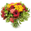 A hand-tied autumn bouquet sits against a pristine white background, its rounded silhouette dense with warm, harvest tones. At first glance the eye is drawn to saturated burgundy and deep crimson blooms - broad-petalled Gerbera daisies with their dark, raised centers and velvety red roses, some opened to reveal layered petals and others kept as tight, elegant buds. These strong reds are brightened by abundant clusters of small, sunny yellow spray chrysanthemums that add a cheerful, almost jubilant texture, while a handful of coral-pink garden roses soften the palette with their gentle blush and ruffled faces. Slim, star-shaped red-and-orange alstroemeria threads through the composition, their speckled petals lending delicate movement and a subtle intricacy to the mix.
The bouquet is richly framed by an assortment of foliage: glossy dark-green leaves form a lush backdrop, lighter, slightly variegated greenery lifts the arrangement, and several large, lobed leaves in reddish-brown and bronze are tucked in to underscore the unmistakable autumn mood. The stems are neatly gathered and visible at the base, a fresh bundle of green stalks that confirms the classic hand-tied technique. Under soft natural light the petals seem to glow and a faint, honeyed floral scent feels implied - the comforting aroma of roses and chrysanthemums. This design reads as both celebratory and intimate, perfect for harvest-season centrepieces, a warm seasonal gift, or to bring the amber calm of fall into a living room. A florist's careful balance of colour, texture, and form makes this bouquet quietly confident and inviting, the sort of arrangement that welcomes conversation and seasonal reflection.