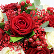 This close-up view reveals a bouquet that feels both luxurious and deeply personal, like a surprise waiting in the hallway of a Stanmore home after a same-day delivery from Flowers Stanmore. At the heart of the arrangement is a sumptuous deep red rose, fully open, its velvety petals spiralling inward with exquisite precision, each edge softly illuminated to emphasise the bloom's rich texture. Encircling it are several more dark crimson roses, some partially hidden behind petals and foliage, others clearly visible, together creating an impression of fullness and layered romance. Nestled between these passionate reds, creamy white roses emerge, their petals smooth and gently cupped, offering a quiet counterpoint of light and purity that softens the dramatic palette, much like the calm atmosphere around Canons Drive at dusk. Fine sprays of tiny red Gypsophila add an airy delicacy, with clusters of minuscule blossoms that form a light, frothy texture around the more substantial roses. Tucked among the petals sit bright red Hypericum berries, glossy and round, each one reflecting a touch of light, lending a celebratory sparkle suited to anniversaries, Valentine's surprises, or heartfelt thank-you gifts delivered across Stanmore and nearby Edgware. Framing the entire display is an assortment of fresh greenery: rounded, silvery-green eucalyptus leaves with a matte finish, and darker green foliage that deepens the composition and evokes a natural, garden-inspired charm. Soft, diffused lighting brings out the richness of the reds, the creaminess of the whites, and the freshness of the greens without harsh contrasts. The overall impression is one of intimate elegance and sincere emotion, capturing the timeless appeal of red and white roses carefully arranged by an experienced local florist.