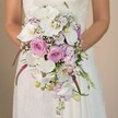 In this refined Stanmore scene, a bride holds a grand, cascading bouquet that sweeps from her waist to her lap-a centerpiece of opulence and sentiment. White Phalaenopsis orchids, their luminous petals and golden centers taking pride of place, intermingle with blush pink and lavender roses, both in tight buds and wide, fragrant blooms. Wisps of delicate white gypsophila float like tiny clouds among the main flowers, lending lightness and a gentle, romantic aura. The arrangement continues to cascade with flowing strands of fuchsia magenta amaranthus, infusing unique texture and bold color that echo the creativity seen in Stanmore's floristry studios. Lilac-hued blossoms and sprigs of fresh green foliage add depth and vibrancy, their subtle variety inviting closer appreciation. The bouquet's pastel palette stands out against the bride's satin and lace gown, the intricate embroidery catching hints of overhead light. Set before a calm, creamy background reminiscent of Stanmore's tranquil wedding venues, the composition embodies contemporary elegance rooted in beloved tradition. This floral creation is more than an accessory-it's an expression of local artistry and enduring romance, designed to be remembered as the heart of a Stanmore wedding day.