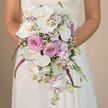 In this richly detailed bridal close-up, a Stanmore bride stands at ease, her hands gently cradling a cascading bouquet that seems to pour like a floral waterfall from her waist. The shot is taken at eye level, so the viewer feels as though standing directly in front of her in a quiet moment before the ceremony-perhaps in a local church off Marsh Lane or a stately home near Bentley Priory. Her gown is crafted from white or ivory lace, and the intricate pattern on the sleeves and upper bodice provides a delicate, almost vintage frame around the bouquet. The background fades into a warm, soft blur, ensuring that the textures and colours of the flowers are the clearest point of focus. The bouquet is built in a classic teardrop style, lush at the top and gracefully tapering down. Large white Phalaenopsis orchids form the dramatic centrepiece, their broad petals smooth and slightly curved, with tiny touches of yellow-gold at their throats giving them a sunlit glow. Between these orchids nestle layers of blush pink roses, their petals spiralling tightly into full, romantic blooms that add both structure and softness. Woven throughout are stems of lavender and light purple stock, lending a cool, tranquil hue and a feathery, garden-like texture. Fine sprigs of baby's breath glimmer here and there, creating a gauzy veil that softens any hard edges. From the heart of the bouquet, striking fuchsia or magenta trailing flowers-likely amaranthus-cascade down, adding movement and a vibrant accent that echoes the energy of nearby Stanmore Broadway. At the lower tip, unopened orchid buds, delicate lavender blossoms, and slim green stems are clearly visible, hinting at the bouquet's freshness and the florist's precise craftsmanship. The entire image conveys a sense of calm anticipation, grace, and timeless romance, perfect for a Stanmore wedding day.