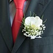 A sharply focused close-up of a groom's upper torso shows a single white orchid boutonniere glowing against a dark, impeccably tailored suit, the kind you might see outside a Stanmore synagogue or at a wedding reception near Bentley Priory. The suit jacket is charcoal grey or black, with a clean, structured lapel that frames the floral detail. Tucked neatly beneath, a subtly patterned, pale dress shirt adds a soft contrast, while a bold red silk tie slices diagonally through the scene, its sheen catching the light like a ribbon of colour. Pinned carefully to the lapel, the orchid-most likely a Phalaenopsis-unfurls broad, velvety petals of pure white around a creamy yellow and faintly blush centre, giving the flower a quiet luminosity. Around it, tiny white clouds of baby's breath form a delicate halo, their miniature blooms airy and star-like. Slender blades of fresh green foliage arc gracefully behind the flowers, offering depth and a whisper of garden freshness. At the base, the stems are bound in a sheer white ribbon, tied into a small, precise bow that hints at attentive craftsmanship. The lighting is soft but clear, picking up the textures of fabric and petal, suggesting the calm, anticipatory moment just before a ceremony begins. The overall mood is one of understated sophistication and heartfelt promise, a small yet meaningful floral accent prepared for a special day in Stanmore, capturing the emotion of a groom ready to step into a new chapter.