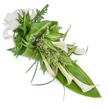 A refined, vertically oriented floral sheaf set against a clean white backdrop, this composition reads like a quiet poem in white and green. At its heart are several creamy white Calla lilies, their trumpet-shaped blooms elegantly arcing downward toward the right and catching a soft, diffuse light that reveals the waxy texture of each petal. Surrounding the lilies is a layered chorus of verdant foliage: broad, glossy tropical leaves folded and wrapped to form a structured base; slender, grass-like blades that arch outward to emphasize the arrangement's sweeping line; feathery fern fronds that peek through to soften the silhouette; and lively variegated leaves with pale stripes that lift the middle section with contrast and brightness. Small, almost frothy light-green sprigs nestle between the larger elements, adding depth and a natural, meadow-like softness. A substantial off-white linen bow anchors the upper left, its woven texture lending a gentle, tactile counterpoint to the smooth calla petals. The design is angled from top-left to bottom-right, creating a calming diagonal flow that suggests movement without exuberance. As a florist familiar with Stanmore's understated elegance, I imagine this piece entering a quiet ceremony at Bentley Priory or placed near the oak benches on Stanmore Common, offering solace and dignity. The colour palette, clean lines, and thoughtful textures make the arrangement suited for memorials, refined sympathy tributes, or minimalist wedding styling. It smells faintly of green leaves and fresh-cut stems, and its overall presence is one of serene refinement and respectful grace.