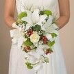 From the mid-torso down, a Stanmore bride gracefully holds a voluminous, cascading bouquet bursting with pristine white blooms, vivid green accents, and joyful red highlights-a visual love letter to the area's celebrated gardens and welcoming neighbourhoods. At the bouquet's heart are dramatic white oriental lilies, their broad petals unfolding in elegant arcs, adorned with subtle speckles that hint at depth and texture. A tightly coiled, creamy white rose glows amidst this sea of petals, flanked by lush clusters of lime-green cushion mums whose bright hue brings modern zest to the composition. Fine, misty sprigs of baby's breath fill the spaces between, bestowing a soft, ethereal feel as if touched by Stanmore's early morning light. Here and there, vibrant red hypericum berries offer visual punctuation-invoking festive market days and the warmth of local gatherings. White Phalaenopsis orchids gracefully tumble downward, lending the bouquet its waterfall silhouette and an aura of refined movement. Wrapping the ensemble are slender grass-like leaves and a hint of soft ribbon as the bride cradles her bouquet, every detail delicately illuminated by natural daylight. This stunning floral creation beautifully blends classic charm with contemporary vibrancy, epitomizing the spirit of a Stanmore wedding and reflecting the artistry available from the area's premier florists.