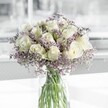 A serene bouquet of creamy white roses and lilac-tinted limonium rests in a simple clear glass cylinder vase, glowing softly as if placed near a window in a quiet Stanmore home. Each rose is fully formed yet delicately spiralled, layers of velvety ivory petals opening outwards with a gentle, unhurried grace. The white is not stark but warm and creamy, catching the muted daylight so that the blooms appear almost luminous, like small lanterns of calm. Threaded between and around the roses, the limonium creates a misty halo of tiny, cloud-like lavender flowers, their fine branching stems adding airiness and movement to the otherwise composed design. The contrast between the solid, plush roses and the feathery, almost weightless filler gives the bouquet a sense of tranquil balance, like a still moment on a quiet morning walk through Stanmore Country Park. Beneath the blooms, the straight, green stems are clearly visible through the water, neatly aligned and lightly fanning out into the base of the cylinder vase, which adds a cool, modern clarity to the arrangement. There is no excess foliage or bold colour to disturb the mood; instead, the palette remains calm and contemplative, evoking the purity of freshly laundered linens and the soft scent of a garden after rain. Imagined in a living room overlooking Canon's Park or placed on a bedside table in a Stanmore townhouse, this bouquet feels appropriate for expressing sympathy, welcoming a new baby, or simply offering a gentle moment of peace. The scent would be subtle and comforting: a whisper of fresh rose mingled with the faint herbal dryness of limonium, drawing you closer without ever overwhelming the senses.