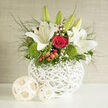 This photograph captures a lush floral arrangement that feels tailor-made for a Stanmore wedding, poised in a modern white wicker basket with a sculptural, rounded shape. From the heart of the design, white lilies rise in varied stages of opening, some present as sleek, tapering buds and others wide open with gracefully curving petals that expose pale throats and delicate stamens. Their bright white tones catch the ambient light, giving the bouquet a clean, radiant focal point. Threaded between and beneath the lilies are velvety red roses, their layered petals forming rich, romantic spirals that hint at devotion and passion. At the lower level of the composition, mounds of vivid green dianthus cluster together, their fine, tufted texture echoing lush lawn or mossy ground, adding depth and contrast. Sprigs of gypsophila sprinkle tiny white blossoms that drift lightly through the arrangement, adding a soft, airy veil reminiscent of a bridal gown. Small clusters of coral and ruby-toned hypericum berries peek out between the greenery, catching the light like little jewels dotted across the design. Fine foliage spills gently over the edges of the basket, softening its outline and lending a natural flow, as if the flowers had just been gathered from a garden walk near Stanmore Hill. The overall mood is serene yet celebratory, embodying elegance without stiffness. You can almost imagine this arrangement placed along the aisle of a local ceremony, at a signing table, or as a focal point at home after the festivities, its delicate fragrance and thoughtful colour palette continuing to tell the story of a very special day.