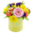 An exuberant spring hatbox arrangement radiates Easter cheer, the kind of design you might imagine brightening a Stanmore dining table as families gather for a leisurely Sunday. The flowers are massed into a compact, rounded dome, giving the impression of abundant, carefully chosen blooms with no gaps or awkward angles. At the centre front rests a large light pink gerbera daisy, its smooth, evenly spaced petals fanning out from a soft green centre, creating a calm, open focal point. Encircling it are bright yellow chrysanthemums, their many thin petals giving a sense of energy and movement, like small bursts of sunshine scattered through the bouquet. Tucked amongst them are full coral-orange carnations, their frilled, layered petals reminiscent of soft fabric ruffles, adding visual interest and a comforting warmth to the overall palette. Punctuating this mix are deep violet to indigo-purple lisianthus flowers, their rich colour and elegant form adding depth and a slightly more formal note, perfectly suited to the refined character of many Stanmore homes. Lush green foliage, with some leaves tipped or edged in pale cream, weaves through the composition, providing a refreshing backdrop and framing the brighter blooms. All of this rises from a pastel lime-yellow cylindrical hatbox whose surface is playfully decorated with small Easter egg motifs in pastel blue, pink, and white, some accented with tiny dots and stripes. The container feels modern yet nostalgic, like a keepsake box that will remain long after the flowers. Against the pure white background, each tone appears crisp and defined. This arrangement expresses joy, new beginnings, and gentle celebration, ideal for gifting or displaying anywhere across Stanmore during the Easter season.