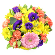 Seen from directly above against a pristine white background, this hand-crafted bouquet forms a glowing round tapestry of colour, the kind of arrangement you might imagine being carefully tied in a Stanmore flower studio on a bright morning. The centre of attention sits near the lower middle: a generous pink gerbera daisy, its petals smooth, soft, and perfectly aligned like spokes around a slightly raised greenish-yellow centre, lending the design a friendly, open-hearted feel. Surrounding this focal bloom are groups of yellow chrysanthemum daisies that seem to spill outward, their slender, ray-like petals and pale green or yellow cores creating the impression of miniature suns lighting up the bouquet. Weaving through these sunny discs, deep indigo-purple lisianthus bring a more dramatic tone; some blossoms are fully unfurled, revealing their inner stamens, while others remain in elongated buds, adding a sense of movement and unfolding beauty. Coral-orange carnations, sprinkled throughout the design, add warm, textured clusters, their frilled, overlapping petals providing a plush contrast that softens transitions between the brighter hues. Cradling the blooms is a bed of rich greenery, with glossy deep-green leaves and softly variegated foliage edged in cream, peeking between petals and framing the composition much like the foliage that lines the paths of Canons Park. The bouquet appears full and closely gathered, yet the careful spacing of each flower ensures a balanced, harmonious look that feels both generous and refined. The mood is distinctly celebratory, perfect for marking birthdays, offering congratulations, or sending a burst of cheer to someone special in Stanmore. Every detail suggests the practiced hand of a local florist who understands how flowers can lift spirits and create a moment of joy in everyday life.