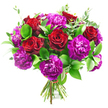 A luxurious bouquet featuring velvety red roses and rich purple carnations is set against a bright white background, the contrast making every bloom and leaf stand out clearly, as though waiting on the counter of a Stanmore flower shop before delivery. The roses, in a deep and passionate crimson, are scattered evenly through the arrangement, their petals unfolding in smooth, tight spirals that create a sense of depth and softness. Each one appears at its peak, with no petals bruised or fading, suggesting careful selection and expert handling. Around them cluster generous carnation heads in jewel-like shades of magenta and royal purple, their frilled petals forming dense, rounded mounds that add volume and a playful texture. The mix of the classic, smooth roses with the more intricate, ruffled carnations gives the bouquet an appealing visual rhythm, like the blend of old and new homes along Stanmore Hill. Surrounding the flowers, lush greenery completes the picture. Shiny, dark green leaves create a strong, supportive framework, while finer sprigs of eucalyptus in a soft, silvery-green weave between the blooms, lending a lighter, airier feel and a faint, refreshing scent. At the base, the stems are pulled together neatly into a hand-tied bundle, secured by a thin red tie that echoes the roses' tone. With the clean white backdrop stripping away distractions, the viewer's attention is drawn solely to the interplay of vibrant colours and rich textures, making it easy to imagine this bouquet as a romantic anniversary surprise, a birthday treat, or a heartfelt thank-you gift delivered to a Stanmore home near Canons Park or the leafy streets off Uxbridge Road.