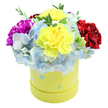A compact, domed bouquet spilling generously from a round pastel yellow hatbox, captured against a clean white backdrop. At the heart of the arrangement sit several ruffled carnations: two large, lemon-yellow carnations with delicately frilled edges that catch the light, their papery petals showing subtle gradations from warm butter to soft gold. Flanking those sunny centers are a deep magenta-fuchsia carnation on the left and a velvety crimson-red carnation on the right, their fuller blooms creating an elegant, dramatic counterpoint. Forming a cool, cloud-like foundation are dense clusters of periwinkle-blue hydrangea florets-each tiny flower scalloped and edged with paler sky-blue or near-white highlights-whose rounded texture cushions the stronger carnation shapes. Sprigs of fresh green foliage peek through, their slender leaves adding a lift of verdant contrast and a suggestion of scent and sap. The cylindrical gift box is a gentle lime-yellow paperboard, decorated with playful, irregular pastel polka dots in light blue, soft pink, and pale green, some with tiny white speckles-an informal, celebratory detail that complements the bouquet's spring-like palette. Soft morning light seems to fall across the petals, accentuating the carnations' ruffles and the hydrangeas' delicate veins while imparting a quiet warmth. A local florist's hand is evident in the balanced placement and tidy dome, ideal for brightening a birthday table, a new baby visit, or a get-well room. This arrangement has a tactile, comforting presence-cheerful without being loud-and is the sort of gift often chosen by customers collecting from Stanmore Broadway or leaving a thoughtful surprise for friends near Stanmore Common.