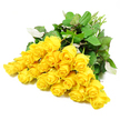 Captured in a crisp studio setting, roughly twenty-four yellow roses lie in a graceful fan across a stark white background, their collective presence creating a soft yet luminous focal point. The blossoms are densely grouped, with heads turned at slightly different angles, so you see both the tight, promising buds and the more open faces where concentric rings of petals form classic rose spirals. The yellows range from pale, buttery tones at the edges to richer, golden depths closer to the centres, echoing the mellow light you might see over Stanmore's tree-lined avenues on a calm evening. Around the blooms, deep green leaves spread in a natural halo, some broad and flat, others curling gently, with delicate veins and a few lighter, almost silvery undersides catching the light. This foliage provides a rich contrast that makes the yellow petals stand out with even greater clarity against the uncluttered white ground. At one side of the composition, a cluster of light green stems extends outward, neatly trimmed and gathered, suggesting the work of an experienced florist preparing a hand-tied sympathy bouquet at a local Stanmore flower shop. The overall impression is one of quiet brightness and composed grace: not exuberant, but tender and respectful. This image could easily illustrate funeral flowers, condolence arrangements, or a thoughtful sympathy delivery to a home near Canons Park or along London Road, where a simple gesture of yellow roses brings warmth, remembrance, and a gentle expression of support to those who are grieving.