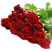 A lush band of red roses flows horizontally across a flawless white background, the sort of carefully ordered beauty you might glimpse inside a Stanmore florist just before a bouquet is wrapped. Roughly two to three dozen long-stemmed roses lie in close formation, their blooms overlapping to create a rich, continuous blanket of velvety crimson. Each rose shows off its own character: some are fully open, with generous, cupped shapes and spiralling petals that seem almost infinite; others are more contained, their centres still tucked in, suggesting fresh buds that will unfold over the next few days. The overall tone of red is deep and romantic, shifting from near-burgundy in the shaded interiors of the blooms to a brighter scarlet where the light touches the petal rims. At the top right, and peeping between blooms here and there, sturdy green stems and smooth, glossy leaves introduce cooler hues and subtle texture. Their gentle curves and serrated edges anchor the soft abundance of petals, much as the leafy avenues around Stanmore balance the hum of local life along the Broadway. The pristine white surface and background strip the scene of any distractions-no wrapping paper, vase, or greeting card-so that the viewer's attention rests solely on the natural elegance and freshness of the roses. In this still moment, you can imagine the faint, sweet-spicy fragrance starting to fill a hallway in a Stanmore home, turning an ordinary evening into something special. This bouquet feels ready for anniversaries, significant birthdays, or heartfelt gestures delivered across HA7, carrying with it a quiet, confident promise of enduring affection.