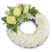 A serene, circular funeral wreath composed of densely clustered white chrysanthemums fills the frame against a clean white background. The wreath's plush ring-made from hundreds of small, ruffled chrysanthemum heads-reads as a soft, snow-like texture, each petal layered to create a uniform, dignified surface with a clearly defined open centre that suggests continuity and peace. Along the inner and outer edges a narrow band of deep lavender-purple mesh or ribbon peeks through the white blooms, lending a discreet elegance and a subtle depth to the otherwise pure palette. Anchoring the composition at the upper-left curve is a carefully arranged spray of accent blooms: three creamy yellow roses, their velvety petals unfurling in gentle spirals, serve as the warm focal point and convey friendship and tender remembrance. These roses are cushioned by airy clouds of white gypsophila and tiny sprigs of lavender-purple statice or limonium, which introduce a soft, contrasting punctuation of colour. Varied greenery-broad glossy leaves and delicate fern-like fronds-frames the cluster, adding cool green tones and a natural, living texture. The lighting is soft and even, casting a faint shadow beneath the wreath that gives the piece subtle dimension on the white backdrop. The overall impression is one of calm, respectful workmanship: a traditional memorial design that combines purity, gentle warmth, and quiet comfort, suitable for a funeral or memorial service and described here as if I were a local Stanmore florist guiding a client through the arrangement's textures and tones.