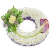 A serene, circular funeral wreath composed of a dense, cloud-like ring of pristine white chrysanthemums sits against a clean white background, its texture almost velvety to the eye. Beneath the white surface, a subtle band of deep purple netting or ruffled lace peeks through along the inner circumference, giving the wreath quiet depth and a dignified hint of colour. On the wreath's upper-left quadrant a carefully gathered cluster of foliage and blooms forms a gentle focal point: a single, softly unfurling cream-to-pale-yellow rose nestles at the centre, surrounded by glossy variegated leaves with lighter margins and feathery fern fronds that add an airy, green softness. Delicate sprigs of lavender-purple statice are tucked throughout this cluster, their tiny star-like blooms adding a cool, textural contrast and a faint whisper of scent. To balance the composition, two sculptural calla lilies curve gracefully across the right side from roughly two o'clock to five o'clock, their trumpet-shaped blooms graduating from a rich, dusky purple at the tips into a warm peach-pink blush toward the bases; their bright green stems weave along the lower-right arc to connect visually with the chrysanthemum base. A single, longer green stem extends discreetly from the left cluster, crossing the lower section and anchoring at the base of the calla lilies, a subtle line that guides the eye and suggests continuity. Bathed in soft daylight, the arrangement reads as a composed and tender tribute-classic whites, serene purples, soft creams and fresh greens-evoking peace, remembrance and gentle respect often chosen for memorial services near Stanmore Common and local ceremonies.