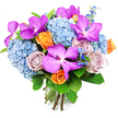 A richly coloured hand-tied bouquet stands out against a simple white background, its design radiating the same easy elegance you might find in a well-loved Stanmore home. The eye is immediately drawn to the exotic Vanda orchids, scattered confidently across the arrangement. Their broad petals, drenched in shades of fuchsia and deep magenta, are intricately dotted with tiny white speckles, giving them a patterned, almost fabric-like look. These orchids are anchored by generous mounds of sky-blue hydrangeas, whose countless small petals gather into full, rounded heads that feel like soft cushions of colour. The hydrangeas' cool blue tones lend a sense of calm, echoing the quiet corners of nearby Stanmore Country Park. Woven through this blue softness are roses in two complementary moods: lively orange roses, whose tight spirals are just beginning to unfurl, adding bursts of warmth and cheer, and gentle dusty-lavender or mauve roses, whose velvety petals introduce a more reflective, romantic note. Slender spires of deeper-blue, delphinium-like flowers peek between the larger blossoms, bringing subtle height and a richer depth of blue to the mix. The entire ensemble is wrapped in a frame of glossy green foliage, the broad leaves curving gracefully around the flowers and enhancing their colour with fresh, natural contrast. At the base, the stems are neatly trimmed and gathered in a tight bind, shaping the bouquet into a rounded, domed form that reveals the hand-crafted care behind it. This arrangement feels perfect for commemorating special occasions in Stanmore-from birthdays and promotions to simple thinking of you moments-offering a blend of vibrancy, softness, and modern floral artistry.