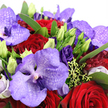 A close-up view of a luxurious purple and red bouquet fills the image, capturing the intricate craftsmanship of a florist who understands both drama and tenderness. At the heart of the arrangement, Vanda orchids spread their broad petals in shades of lavender, lilac, and saturated royal purple, their surfaces traced with darker speckles and fine veins that lend an unmistakably exotic character. Interwoven with these orchids are velvety crimson roses, each bloom tightly coiled into a perfect spiral of petals, radiating warmth, passion, and classic romance. Between these central flowers, rich purple lisianthus adds a soft, ruffled contrast; some blossoms are fully open, while elegant lime-green buds stand upright, waiting to unfold and bringing a fresh, youthful energy to the design. The entire bouquet is embraced by a halo of lush emerald foliage, the leaves smooth and glossy, creating a vivid green backdrop that intensifies the jewel-like tones of the blooms. Sprinkled gently through the composition, sprigs of chartreuse-green filler and tiny, berry-like shapes add fine points of light and texture. At the periphery, faint touches of pale pink or white petals can be glimpsed, subtly lifting the otherwise dramatic colour scheme. The lighting feels natural and soft, as though the bouquet is resting near a window in a Stanmore home, the light from the garden or nearby parkland illuminating every nuance. The overall feeling is one of intimate luxury and heartfelt celebration, a perfect floral expression for anniversaries, romantic surprises, or special evenings shared in and around Stanmore, from quiet residential avenues to homes overlooking the area's leafy green spaces.