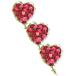 This photograph captures a refined triple-heart funeral tribute, with three heart-shaped designs arranged in a soft diagonal line against a spotless white background. Each heart is lavishly filled with roses, creating a dense, cushion-like surface of petals that move through a spectrum of reds and pinks. Deep crimson and rich wine tones anchor the design, while flashes of bright scarlet and vivid fuchsia bring energy and light. Interspersed among them are more delicate coral and blush roses, which soften the overall effect and add subtle highlights, like glimmers of fond recollection. The roses vary in size and stage, from small, tight buds suggesting new beginnings to wide, open blooms that reveal their full, intricate hearts. Around and between the hearts, glossy green ivy is carefully woven, hugging the curves and sending slim tendrils outward to join one heart to the next. This ivy not only frames the shapes but also creates a natural sense of flow, like a thread of memory that runs through generations. The contrast between the lush greenery and the richly coloured roses is striking yet soothing, reminiscent of the balance between built streets and green spaces in Stanmore. This tribute would be well suited to a funeral or celebration of life in the local area, perhaps arranged at a service near Stanmore station or delivered to a quiet family home. It conveys a message of deep love, lasting connection, and heartfelt sympathy, thoughtfully crafted by a florist who understands both the artistry of flowers and the emotions of saying goodbye.