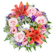 A generous, circular funeral wreath fills the image, its colours luminous against a clean white background. The ring is densely packed with flowers, creating a sense of abundance and careful craftsmanship characteristic of a dedicated Stanmore florist. Two vivid reddish-orange Asiatic lilies, one located towards the top of the circle and the other set lower down, act as focal points. Their broad petals are fully open, revealing detailed stamens that add depth and texture. Surrounding them, soft blush pink and lavender-pink roses open wide, their velvety petals forming intricate spirals that catch the light, lending the wreath a gentle, comforting air. Weaving between the roses are lisianthus blossoms in pastel pink and deep purple, their ruffled petals introducing a romantic, slightly whimsical note. Fine sprigs of lavender-blue filler flowers thread their way through the design, lending a misty softness that lightens the richer colours. The floral ring is supported by a robust foundation of greenery: rounded, silvery eucalyptus leaves, delicate fern fronds, and blue eryngium thistles with their striking, spiky heads that bring in cool, architectural touches. A few closed lily buds nestle quietly among the foliage, hinting at new blooms and suggesting that love and memory continue to unfold. Near the lilies, bright green striped leaves are shaped and tucked in, adding a fresh, contemporary accent that subtly highlights the orange tones. This wreath would be well suited to resting on a stand at a funeral service in Stanmore, placed in a local church or crematorium chapel, or delivered in sympathy to a family home. Its unbroken circle, balanced colours, and thoughtful arrangement speak of remembrance, peace, and enduring affection.