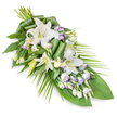 An elegant funeral floral tribute in shades of white and green is shown against a pure white background, its elongated, asymmetrical design flowing gently from a full cluster of blooms at one end to a delicately pointed tip at the other. The main focus is on several white oriental lilies, some fully open with wide, velvety petals and subtle yellow-green stamens, others still in refined bud form, suggesting quiet reflection and the continuation of love beyond farewell. Nestled among these lilies are sprays of white lisianthus, their soft, bell-shaped petals finely edged in lavender or pale purple, and many small buds that add rhythm and texture to the arrangement. All of the flowers are supported by a generous structure of foliage: broad, dark green leaves form a strong base and dramatic backdrop, while long, slender palm-style fronds reach outward, enhancing the graceful, sweeping line characteristic of sympathy sheaves. Certain leaves are carefully rolled and folded into smooth, architectural shapes, revealing the attentive artistry of a Stanmore florist who often creates tributes for services held in local churches and at nearby crematoriums. The colours remain cool and gentle-pure white, muted lavender, deep green-and the mood is one of calm remembrance, similar to the quiet you feel walking through Canons Park or past the tree-lined avenues near Stanmore station. This spray would rest beautifully on a casket, alongside a memorial book, or by a graveside, offering a composed, heartfelt gesture of condolence for families across Stanmore and the surrounding North-West London area.