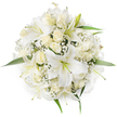 Viewed from directly above, this flawlessly round bouquet reads as a study in white - a dense, symmetrical halo of blooms set against a clean white background. Large, trumpet-shaped white lilies dominate the composition, their broad petals curling gently outward to reveal pale green stamens and the faintest hint of cream at the throat; the lilies' sculptural shapes cast soft, natural shadows that give the arrangement a quiet three-dimensionality. Nestled between the lilies are clusters of creamy white roses, many held tight in bud or only beginning to unfurl, their velvety layers forming delicate, concentric spirals that contrast with the lilies' open architecture. Interspersed throughout are feathery sprays of Baby's Breath (Gypsophila), whose tiny white flowerlets create a cloud-like filigree that cushions and separates the larger blooms. Occasional bright green leaves peek out at the perimeter, their glossy surfaces bringing a fresh punctuation to the otherwise monochrome palette. The overall texture is a harmonious mix of soft, plush petals and airy, lace-like filler, and the scent is imagined as a gentle blend of sweet lily perfume and the warm, honeyed note of cream roses. This bouquet reads as bridal and ceremonial yet also suitable as a refined sympathy tribute or centerpiece - its composition speaks of purity, quiet joy, and careful craftsmanship. As a local vision from Stanmore, it evokes the soft mornings near Canons Park and the understated elegance sought by clients on Stanmore High Street, an arrangement created to comfort, celebrate, and mark new beginnings with timeless poise.