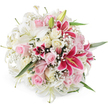A meticulously crafted, dome-shaped bouquet of lilies, roses, and baby's breath is presented against a clean white background, every flower placed with the considered care of a long-established Stanmore florist. The arrangement is densely packed yet soft in appearance, with generous white lilies forming the main structure. Their trumpet-shaped blooms are fully open, revealing gently flared petals, pale green throats, and delicately dusted yellow stamens, while a few unopened buds introduce height and the promise of future blossoms. Intertwined among them are roses in shades of blush pink and creamy ivory, some tightly furled and others fully open, their velvety petals layered in intricate spirals that suggest warmth and affection. The colour story is enriched by bold Oriental lilies in vibrant fuchsia and vivid magenta, their petals marked with darker speckles and framing vivid golden anthers, creating dramatic accents that catch the eye. Throughout the bouquet, sprigs of white baby's breath provide a fine, airy texture, their tiny blossoms scattered like soft clouds among the larger blooms. Slim green leaves and stems appear at the periphery, lending a fresh, natural frame reminiscent of Stanmore's tree-lined avenues and nearby open spaces. The even, bright lighting reveals every nuance of colour and texture, enhancing the sense that this bouquet has been freshly prepared and is ready to be carried into a celebration or placed as a centrepiece. It evokes feelings of joy and tenderness, making it an ideal visual representation of flowers sent for weddings, anniversaries, and heartfelt congratulations across Stanmore, from The Broadway to the quiet residential streets beyond.