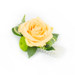 A single, hand-crafted corsage sits poised against a clean white backdrop, the composition centred on a softly blushing peach rose whose many tender petals unfurl from a tighter, slightly deeper-toned heart. The rose reads like apricot champagne in the bright studio light, each layer velvety and whisper-thin, suggesting the faint sweetness of summer mornings. Beneath and to the left, a lime-green button chrysanthemum offers playful contrast: a compact, spherical head made of tightly packed florets that adds lively texture and a fresh, springlike note. Deep green ruscus leaves form a sturdy, glossy cradle, their rich tones grounding the bloom, while gracefully curled variegated foliage with pale green stripes frames the rose and introduces sculptural movement. From the bottom right a short strand of lustrous white faux pearls drapes gently, catching light and lending a soft, vintage glamour that pairs beautifully with bridal lace or a tuxedo lapel. The arrangement is brightly lit and photographed on white so every nuance of colour, shadow and petal edge reads clearly; you can almost feel the satin-smooth petals and the crisp snap of the foliage. Intended as a boutonniere or prom corsage, this petite piece balances classic romance with contemporary detail-perfect for ceremonies at Stanmore's Canons Park or evening celebrations along Stanmore Broadway. The overall mood is one of refined celebration: delicate, confident, and quietly joyful, designed with the careful hand of a local florist who knows how important the smallest accent can be on your wedding day or formal night.