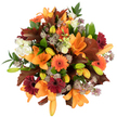A radiant, overhead portrait of an autumnal bouquet that feels like a late October stroll across Stanmore Common - warm, textured, and fragrant. From this elevated viewpoint, several large orange Asiatic lilies take centre stage, their trumpet-shaped petals unfurling with glossy veining and pollen-speckled throats; many tightly furled buds in pale orange and green promise the bouquet will continue to open over the coming days. Scattered between the lilies are bright pumpkin-orange Gerbera daisies and deeper burgundy-red Gerberas, each with a dark, sun-like centre that adds a rustic punctuation to the composition. Soft, creamy-white Lisianthus with ruffled edges nestle close to the bolder blooms, offering gentle highlights and a linen-like softness to the eye. Delicate, star-shaped clusters of muted purple Astrantia weave an intricate, spiky texture through the mass, their tiny florets catching the light like spun sugar. Broad, deeply lobed oak-like leaves in reddish-brown lend an unmistakable autumnal silhouette, their lobes and veins calling to mind fallen leaves beneath Stanmore's oaks; vibrant green foliage and slender stems provide fresh contrast and structural rhythm. The bouquet is tightly packed and expertly balanced, appearing lush and abundant against a pristine white background that amplifies each hue. Soft studio lighting makes the warm oranges glow like late-afternoon sun and lets the burgundies read rich and velvety, while the white flowers breathe space into the design. This arrangement reads as a harvest celebration - ideal for a Thanksgiving table, a birthday in autumn, or to bring the comforting pulse of Stanmore's neighbourhood gardens indoors - a tactile, scented moment of seasonal cheer and careful craftsmanship.