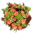 Seen from directly above against a clean white backdrop, this autumnal bouquet glows with sunset tones and textured contrast. A dense, circular arrangement of fully opened roses-soft peach at their cores graduating into coral and deep, rust-tinged orange at the outer petals-forms the heart of the design, each bloom unfurling like a tiny painted shell. Interspersed among those roses are compact, velvety clumps of green trick dianthus that read like mossy cushions, their bright chartreuse surfaces catching light and inviting touch. Small clusters of Hypericum berries punctuate the composition: some a vivid lime-green that pops beside the roses, others a delicate creamy-yellow that calms the palette. Deeper, lobed leaves in burnished burgundy and reddish-brown are artfully arranged throughout, evoking fallen oak and maple and anchoring the warm hues with a rustic edge. Lustrous fresh foliage-larger glossy leaves and smaller serrated stems-fills negative space and heightens the sense of abundance. Soft, diffuse lighting reveals velvety petal textures and subtle shadowing between layers, while a faint earthy scent of moss and rose seems almost perceptible, suggesting a woodland walk on a crisp September morning. The overall effect is both comfortable and sophisticated: a centrepiece suited to Thanksgiving, harvest gatherings, or as a comforting seasonal gift. The craftsmanship feels local and familiar, the sort of arrangement you might bring after a Sunday market run or set on a table for neighbours sharing an autumn meal, radiating warmth, gratitude, and the tactile richness of fall foliage.