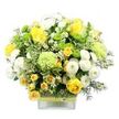 A cheerful floral display sits in a clear, square glass vase, photographed against a pure white background so every blossom and leaf stands out clearly, much like a bright feature piece in a Stanmore living room. The bouquet is shaped into a full, rounded dome and brims with sunny yellow, crisp white, and lively green tones. At the heart of the design, yellow roses open in varying stages, their velvety petals spiralling outward in warm, golden layers. Threaded among them are dainty yellow spray roses; their multiple smaller blooms add interest and a gentle, informal rhythm. White pompom chrysanthemums, compact and cushion-like, nestle between the roses, bringing a soft, rounded texture. Dotting the arrangement are lime green button chrysanthemums, tiny spheres of bright colour that introduce a fun, contemporary twist. Larger, frilly pale green flowers, reminiscent of green carnations or modern chrysanthemum varieties, create ruffled accents that bridge the shift from yellow to white. The flowers are held within a cradle of mixed foliage: broad, variegated leaves edged with pale cream, and slender, dark green sprigs that provide structure and depth. Delicate white filler flowers, minute and star-shaped, are scattered through the bouquet, adding a sense of lightness and detailing. The stems are visible through the transparent vase, which is wrapped around its middle in a rustic, textured band overlain by a neat lime green ribbon that mirrors the vivid green blooms above. The arrangement feels joyful, fresh, and welcoming, ideal for celebrating milestones, lifting a friend's spirits, or decorating a Stanmore dining table for a relaxed weekend lunch with family and friends.