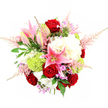 In this photograph, a sophisticated mixed bouquet is captured in a bright, white studio setting, the camera angled from above to show its balanced, rounded shape. At the centre, velvety red roses form a rich, romantic focal point, their petals tightly layered and deeply coloured, suggesting heartfelt emotion. Around them, pink stargazer lilies sweep outward, some open to reveal their star-shaped petals, speckled throats, and pollen-tipped stamens, others still in bud, giving the sense that the bouquet will continue to evolve once it reaches a home in Stanmore. Billowing clusters of creamy white hydrangeas create a soft, voluminous base, each flower head composed of many delicate florets that together resemble puffs of cloud. Bright lime green Green Trick dianthus or little pom-pom chrysanthemums dot the arrangement, their intricate, moss-like textures providing a lively, modern counterpoint to the more traditional blooms. Light, feathery plumes of blush pink astilbe stretch beyond the main cluster of flowers, softening the edges and adding a touch of airy romance. Subtle specks of lavender and gentle fuchsia filler blooms are woven through the bouquet, offering small flashes of additional colour that enrich the overall palette. Framing the entire design, glossy dark green foliage and lighter, ferny greenery provide depth and structure, helping the vibrant hues stand out. The clean white background keeps the focus entirely on the flowers, making this bouquet suitable for marking anniversaries, birthdays, or thoughtful thank-you gestures, and it would be a striking choice for flower delivery to homes and venues around Stanmore and the wider HA7 area.