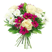 Captured against a pristine white background, this bouquet appears radiant and freshly arranged, as though it has just left a Stanmore florist's hands. At the heart are plush creamy white roses, their petals layered in soft spirals that open into full, rounded blooms, suggesting warmth, affection, and timeless sophistication. Nestled around them are white spray chrysanthemums, composed of many slender petals that fan out from subtle light green centres, lending the arrangement a delicate, almost feather-like texture and a sense of lightness. Intertwined with these gentle tones, deep magenta and fuchsia spray chrysanthemums bring a bold burst of colour, their compact, multi-petalled heads creating concentrated pools of rich, jewel-bright intensity that instantly draw the gaze. Shiny, dark green foliage surrounds and supports the flowers, its smooth leaves arching gracefully to form a lush, circular outline that feels balanced and complete. The stems are neatly gathered and tied at the base, hinting at the skilled, hand-tied craftsmanship that local customers in Stanmore might recognise from bouquets adorning homes near Whitchurch Lane or celebrations by Canons Park. Bright, even lighting enhances every detail-the subtle sheen of the rose petals, the fine texture of the chrysanthemums, the polished surface of the greenery-conveying a sense of freshness and care. This arrangement blends creamy whites, vibrant magentas, and deep greens into a bouquet that feels celebratory yet comforting, ideal for birthdays, anniversaries, sincere thank-you gestures, or simply bringing a cheerful, uplifting presence into any Stanmore room or office.