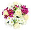 This photograph presents a richly textured, round bouquet viewed from above, laid out on a bright white background that makes every bloom stand out with clarity. Creamy ivory roses are scattered evenly through the design, their petals arranged in tight, graceful spirals that form soft, rounded centres, inviting the eye to linger. Surrounding them, clusters of white chrysanthemums create a lush foundation; their neat, slender petals fan out around fresh yellow-green centres, bringing a clean, uplifting energy that feels like early morning light over Stanmore's leafy streets. Threaded between these whites and creams, vivid magenta spray chrysanthemums provide rhythmic flashes of colour, some fully open with cheerful, daisy-like faces, others still in bud, their deeper berry tones adding contrast and dimension. Slender, deep green leaves peek through occasionally, offering just enough foliage to frame the flowers without overwhelming the composition. The bouquet is evenly lit, showing no harsh shadows, as though it were photographed in soft natural daylight streaming into a local Stanmore studio. The mood is one of gentle celebration and comfort combined-creamy roses suggesting tenderness and appreciation, white chrysanthemums symbolising calm and purity, and the magenta accents bringing a sense of lively joy. It is easy to imagine this bouquet travelling in a florist's van along Uxbridge Road, headed for a family gathering near Stanmore Country Park, a get-well-soon gift, or a simple act of kindness delivered to a neighbour. Its balanced mix of classic and contemporary elements makes it suitable for almost any occasion when you want to send beauty and warmth in equal measure.
