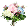 A softly coloured hydrangea bouquet is captured in front of a flawless white background, its gentle palette and rounded shape giving an immediate sense of calm and refinement, as if prepared for a peaceful home in Stanmore. At the core of the arrangement, large, globe-shaped hydrangea blooms in blush pink, light sky blue, and warm creamy white gather closely together, forming a full, domed silhouette. Each head is made up of many small, smooth petals, layered tightly to create a plush, velvety surface that seems almost cloud-like. The pink hydrangeas bring a note of tender romance and comfort, while the blue flowers introduce a cool, relaxed feeling akin to overlooking green spaces near Stanmore Country Park. Creamy white hydrangeas catch the light with a soft glow, adding purity and brightness that lift the entire design. Between these main blooms, slim stems of deep magenta or fuchsia filler flowers, similar to waxflower, weave gracefully, their tiny clusters of blossoms adding fine detail and lively specks of richer colour. Around the outside, an abundance of green foliage frames the bouquet: broad, polished dark leaves, likely hydrangea foliage, join with smaller, gentler leaves to provide structure and a fresh-from-the-garden aesthetic. The stems are gathered tightly and tied at the base, showing the classic hand-tied technique that allows the bouquet to sit naturally in a vase on a kitchen island off The Broadway or in a cosy living room near Stanmore Hill. Even, bright lighting enhances the soft pastels and crisp greens, while the white background ensures there are no distractions. The overall impression is one of quiet joy and grace, making the bouquet ideal for celebrating special occasions, offering condolences, or simply bringing a light, uplifting touch to everyday life in Stanmore.