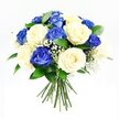 A carefully arranged bouquet of roses in deep sapphire blue and creamy ivory is displayed against a pure white background, drawing attention to the refined simplicity of its design. The arrangement is rounded and compact, with each rose placed so that the colours alternate in a soft, flowing pattern rather than rigid stripes. The blue roses, with their velvety petals and rich jewel tone, offer a cool, contemplative presence, while the cream roses add warmth and quiet radiance, their petals unfolding in delicate, layered spirals. Scattered gently throughout are small, cloud-like clusters of white baby's breath, their tiny blossoms lending a light, airy touch that softens the transition between the stronger colours. Around the edges, dark green foliage-likely Ruscus or a similar leaf-creates a framing halo, its smooth, glossy surfaces adding depth and a sense of freshly cut greenery. The stems, visible and neatly bound at the base, suggest a bouquet newly crafted and ready for a vase in a Stanmore home or for placing at a memorial gathering. The lighting is clean and soft, with barely-there shadows that help define each petal without breaking the overall calm. The feeling conveyed is one of gentle solace and quiet strength, perfect for sympathy flowers destined for families near Stanmore Country Park, the leafy streets around Old Church Lane, or the peaceful neighbourhoods that stretch out from the town centre. It appears as a tender, understated tribute-something chosen by someone who wishes to offer comfort, presence, and respect in a time of loss.