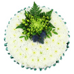 A round chrysanthemum funeral cushion is pictured from directly above, placed against a bright white background that highlights its crisp shape and colour. The cushion is completely carpeted in small white chrysanthemums, closely packed to create a perfectly even, cloud-like surface. Their petals are fine and plentiful, overlapping gently and catching the light in soft ripples, while their subtle yellow-green centres bring a delicate warmth to the cool white. Encircling the arrangement is a deep emerald satin ribbon, carefully pleated into a scalloped border that gives the tribute definition and a polished, ceremonial air. Set towards the top of this white expanse is a compact but striking central spray of green and blue. A lime-green spider chrysanthemum, with its slender, curling petals reaching out like elegant fingers, forms the focal point. Around it, glossy green Hypericum berries cluster between dark green leaves and airy fern fronds, building a layered, textured nest of foliage. Rising from this greenery are two rounded Scottish thistles, their steel-blue heads bristling with spiky florets and sharply contrasting with the surrounding softness. The restrained colour palette of white, green, and blue makes the tribute feel particularly calm and composed, suitable for a thoughtful farewell anywhere in Stanmore-from services at local churches to quiet family gatherings at home. It is the kind of arrangement that might be lovingly prepared by Flowers Stanmore for same-day delivery, carrying with it a sense of peace, respect, and perhaps an echo of Scottish heritage woven gently into the final goodbye.
