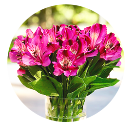 Same day Flowers Stanmore